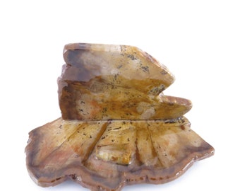 fossil business card holder
