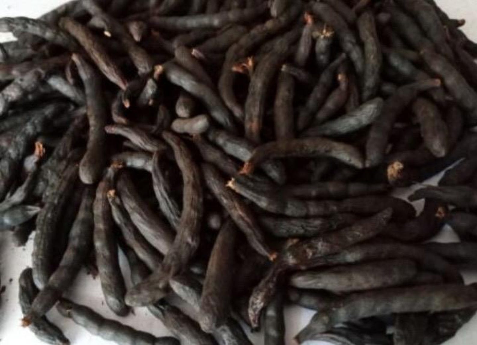 Negro Pepper, Uda/african Black Pepper/peppercorn/ Aethiopica, Selim ...