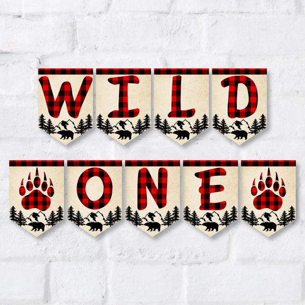 Wild One Birthday Banner, Lumberjack Birthday Decor, Red Buffalo Plaid, First Birthday, 1st Birthday Party Banner, BP101