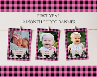 First Year Photo Banner, 12 Month Photo Banner, Pink and Black Plaid, Monthly Picture Milestone Banner, Wild One Birthday, BP102