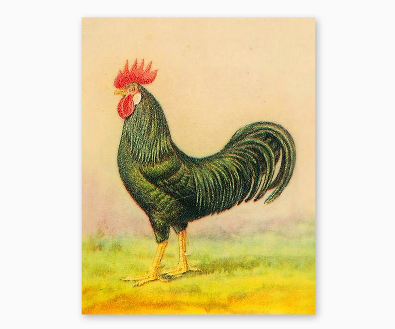 FARM ANIMAL WALL Art Farmhouse Decor Kitchen Printable Etsy