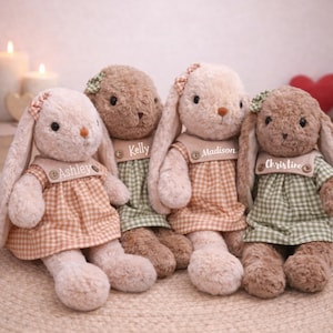May include: Four plush bunny rabbits in various shades of brown and beige. Each bunny wears a gingham dress and has a name embroidered on its chest. The bunnies have long ears and are sitting together.