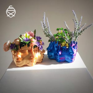 May include: Two face-shaped planters, one gold and one blue, each filled with colorful faux flowers and greenery. The gold planter holds pink and purple flowers, while the blue one features lavender and green plants. The planters are on a white surface.