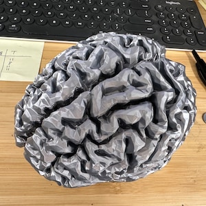Life-Size 3D Printed Brain – Realistic Anatomical Model
