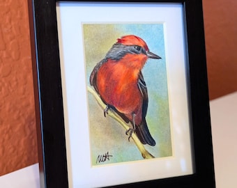 Vermilion Flycatcher bird - Original Colored Pencil Drawing by Marcie Heacox 2" x 3" framed photorealistic realistic