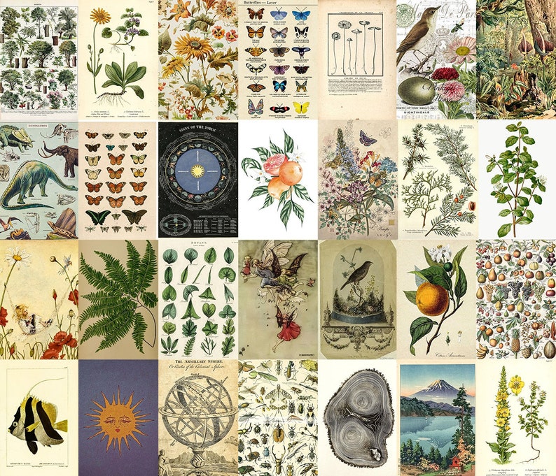 Vintage Botanical Posters Wall Collage Kit printed Collage - Etsy