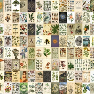 Vintage Botanical Posters Wall Collage Kit (Digital Collage Kit), Vintage Cottagecore Aesthetic Wall Collage, Old Poster Photo Collage Kit