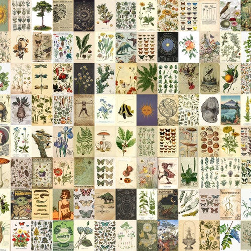 Vintage Botanical Posters Wall Collage Kit digital Collage | Etsy
