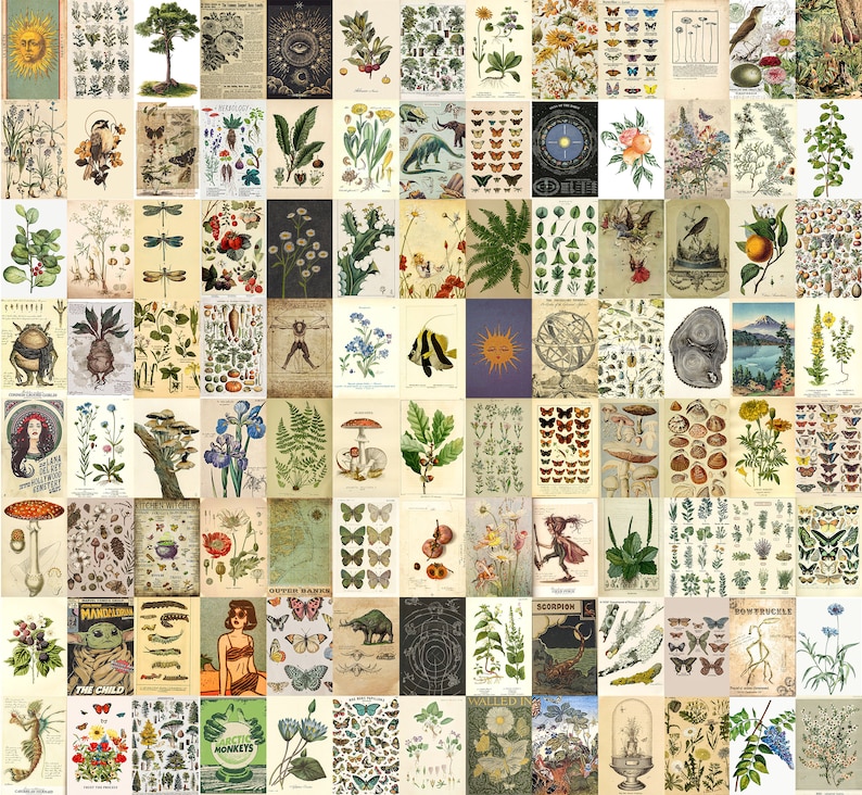Vintage Botanical Posters Wall Collage Kit printed Collage - Etsy