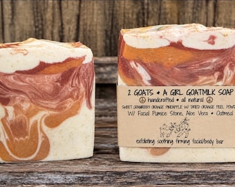 Exfoliating Cranberry Orange Pineapple Goat Milk Soap Cleansing and Moisturizing Face and Body Bar