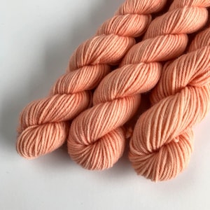 Tonal Coral hand dyed Mini Skein fingering weight sock yarn on an extrafine merino wool blend base
