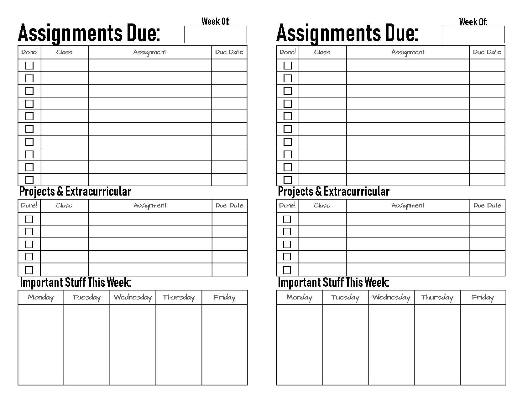 Daily Homework Log : Daily Homework Organizer Elementary, Middle and High  School Academic Tracker (Paperback)