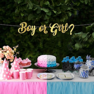 Gender Reveal Boy or Girl Gold Silver Glitter Banner Script Lettering Ornament Ideas Sign Garland for Baby Shower Party Decorations He She