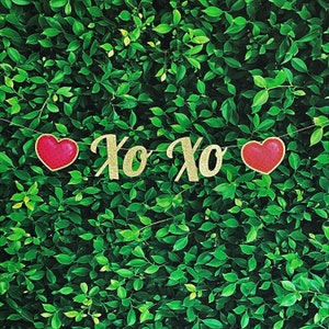 Xo Xo Valentine's Day Glitter Banner in Gold Silver Love Sign Garland Bunting Script Lettering Decoration Holiday Season Be Mine