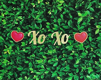 Xo Xo Valentine's Day Glitter Banner in Gold Silver Love Sign Garland Bunting Script Lettering Decoration Holiday Season Be Mine