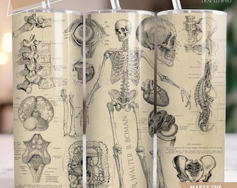 Personalized Skeleton Tumbler, Retro Skeleton Cup for Halloween Gift, Human Anatomy Tumbler, Vintage Skeleton Tumbler With Name, Spooky Cup