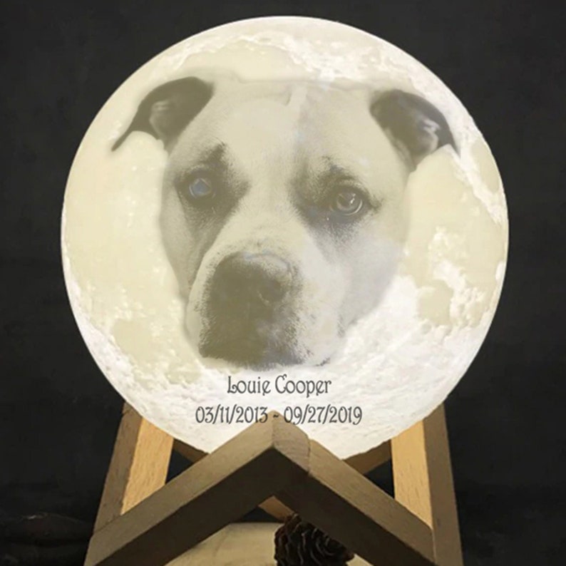 Pet Loss Memorial 3D Printed Moon Lamp Personalized with Etsy