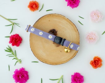 May include: A purple cat collar with a white daisy pattern and a gold bell. The collar is on a wooden surface surrounded by pink and orange flowers.