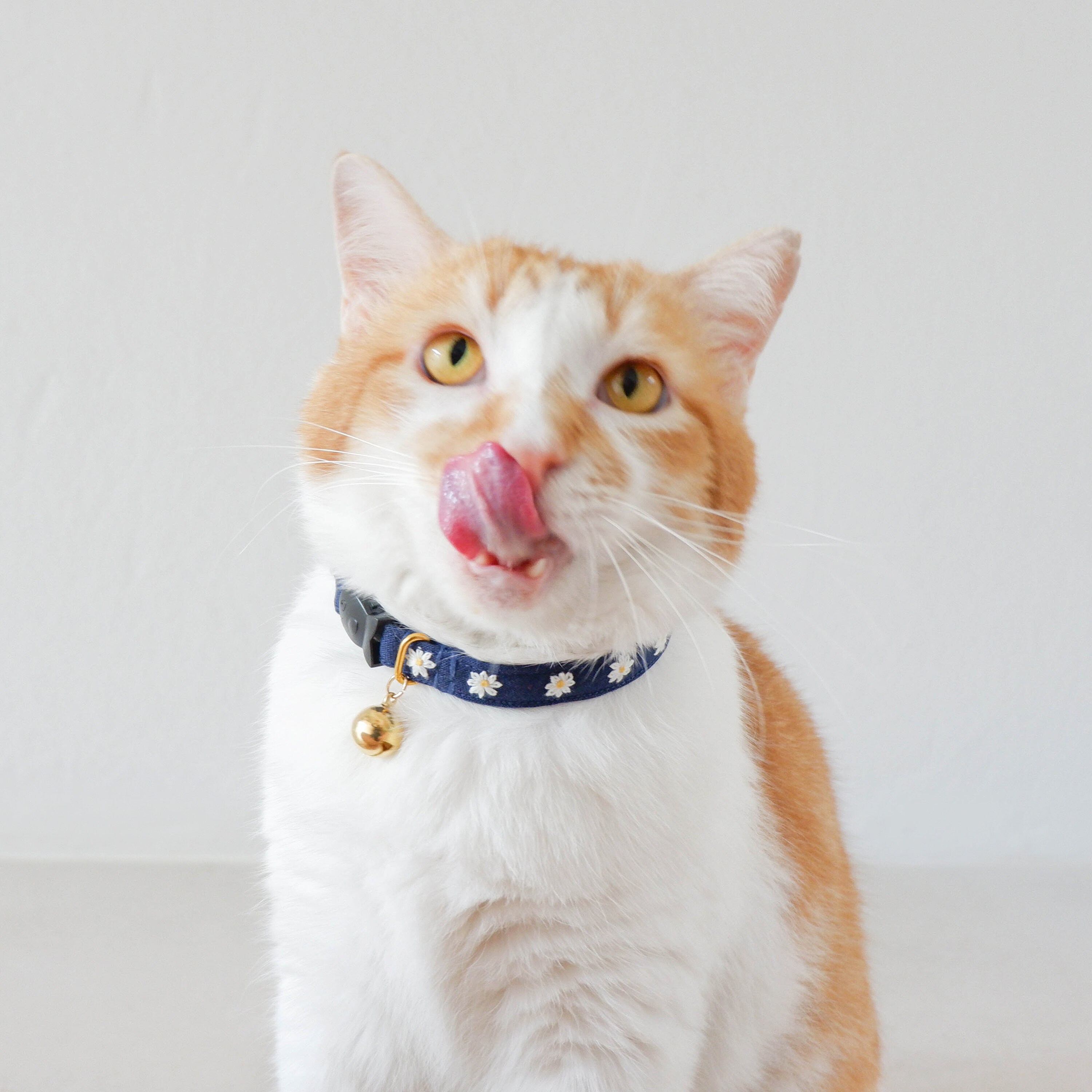 Embroidered Cat Collar: Mini Daisies on Indigo Linen, Breakaway Kitten ...