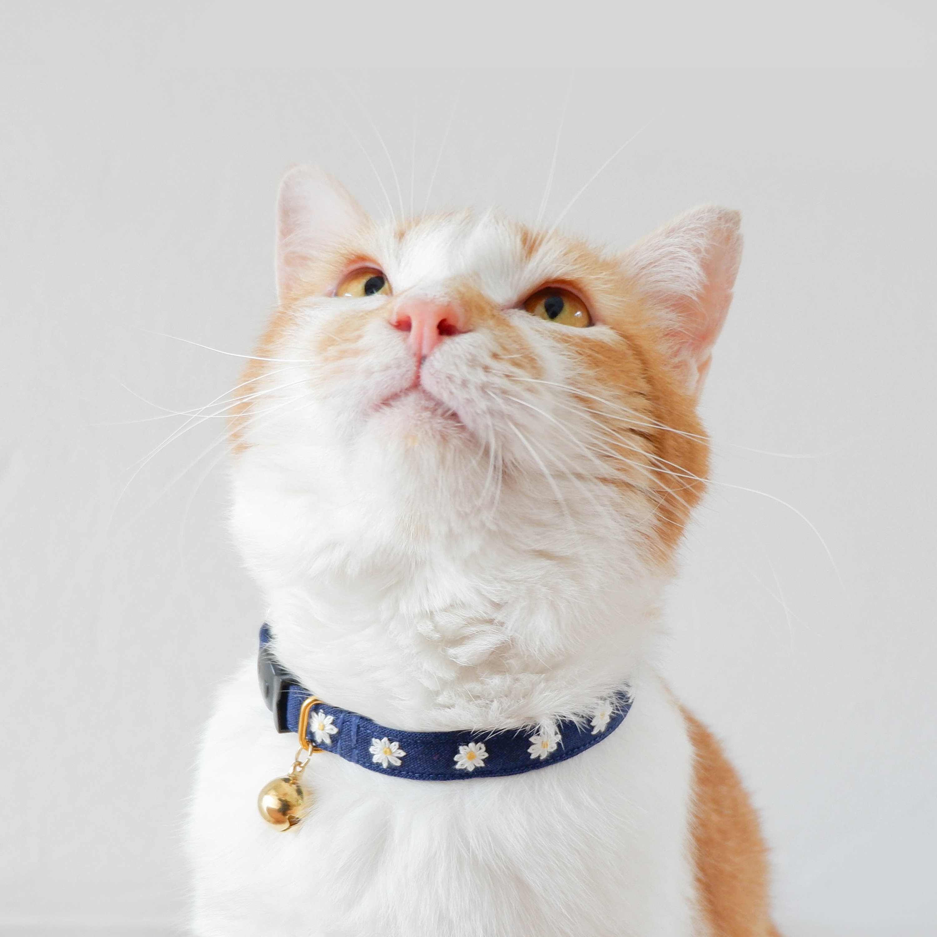 Embroidered Cat Collar: Mini Daisies on Indigo Linen, Breakaway Kitten Collar