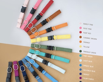 May include: A collection of colorful pet collars in various shades, including pink, red, orange, and blue, arranged in a semi-circular pattern. Each collar features a black buckle and a metal ring. The phrase "Less is More" is written at the top.