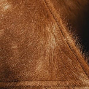 May include: Close-up of a brown fur garment, possibly a vest or coat. The fur is a rich, warm brown with lighter highlights, and the stitching is visible. The texture appears soft and luxurious, suggesting a high-quality material.