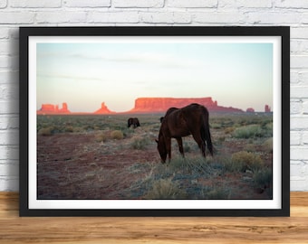 Wild horses grazing in Monument Valley Arizona / Utah desert, film photography fine art print.