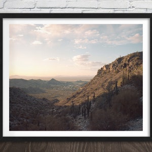 South Mountain park cactus at sunrise Phoenix, Arizona, scenic film photography fine art print.