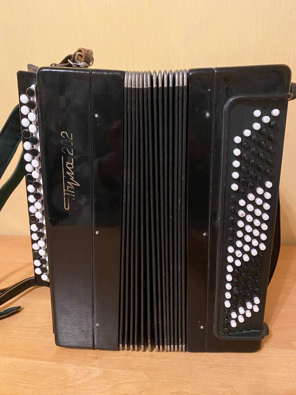 Button Accordion Tula 202, Button Accordion 100 Bass, Folk Musical Instrument, Vintage Accordion, Bayan Tula, Bayan 100 Bass