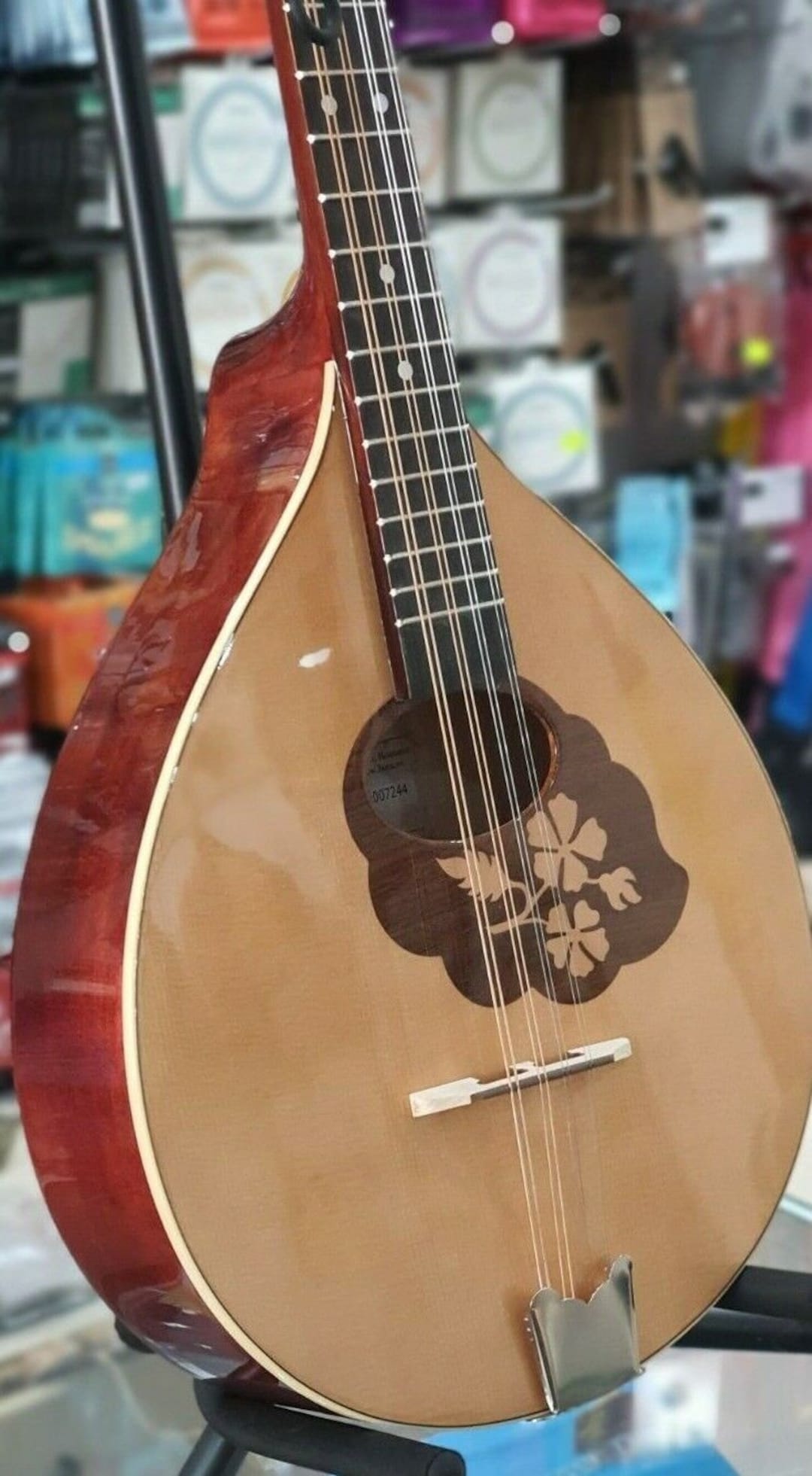 Irish Bouzouki, Solid Wood, NEW, Hora Mandola, Mandolin 8 String Etsy