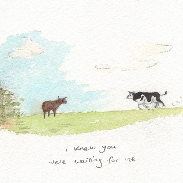 Cows -  signed print by Zeppelinmoon
