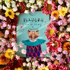 May include: A light blue deck of playing cards titled PLAYERS cards for wild fings by zeppelinmoon, featuring an illustration of a cat wearing a teal ruffled collar and a red and blue diamond patterned outfit, surrounded by colourful flowers.