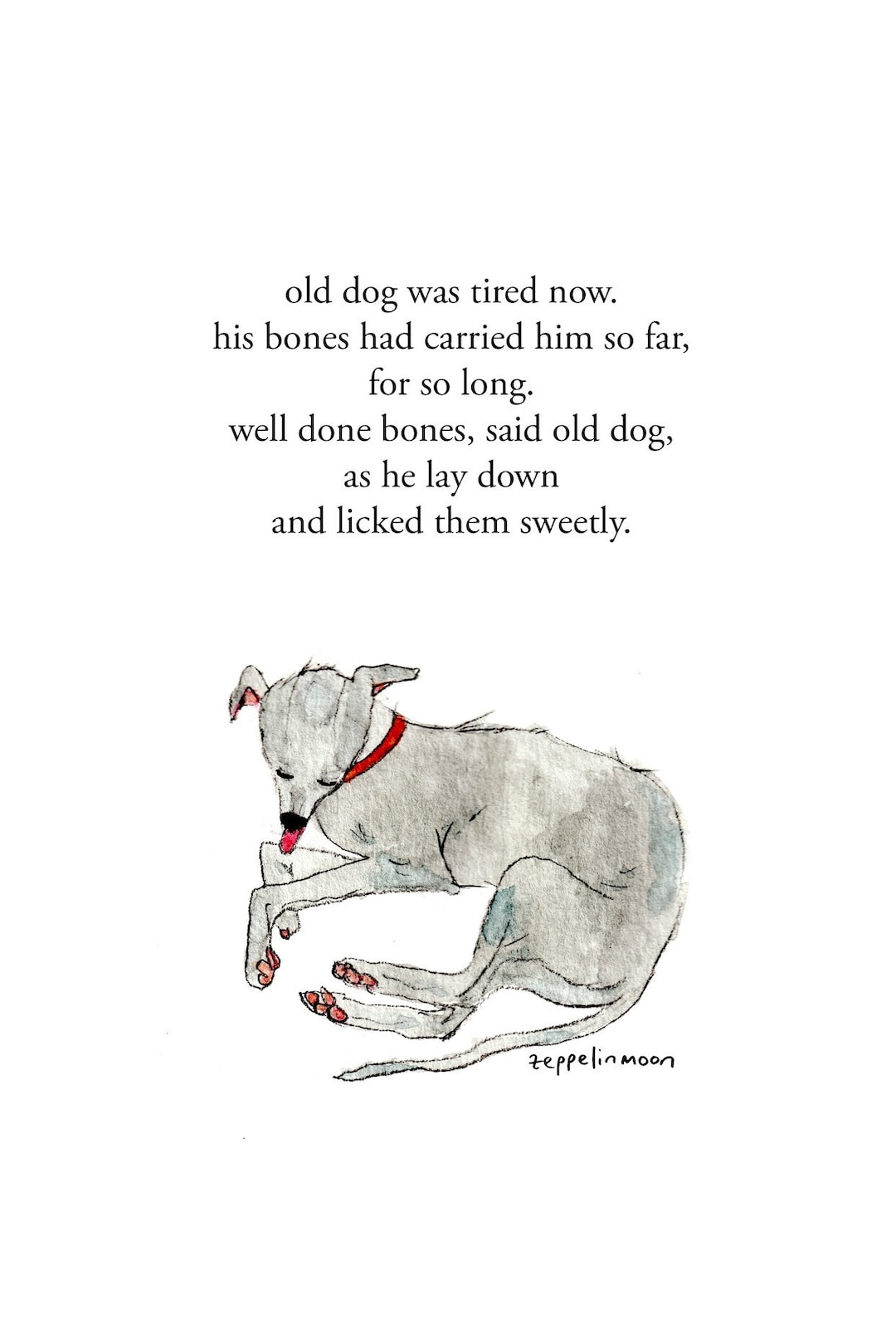 Old Dog - Signed Print by Zeppelinmoon - Etsy