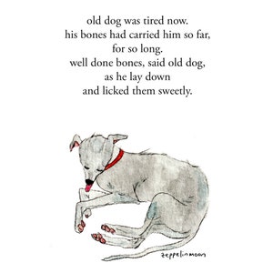 Old Dog - signierter Druck von Zeppelinmoon