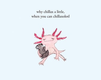 Könnte beinhalten: Ein rosa Axolotl mit einem kleinen grauen Koala in seinen Armen. Der Axolotl lächelt und hat die Augen geschlossen. Der Text "why chillax a little, when you can chillaxolotl" steht über dem Axolotl.