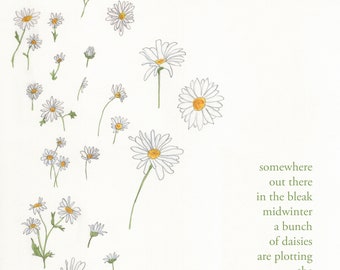 Daisies -  signed print by Zeppelinmoon