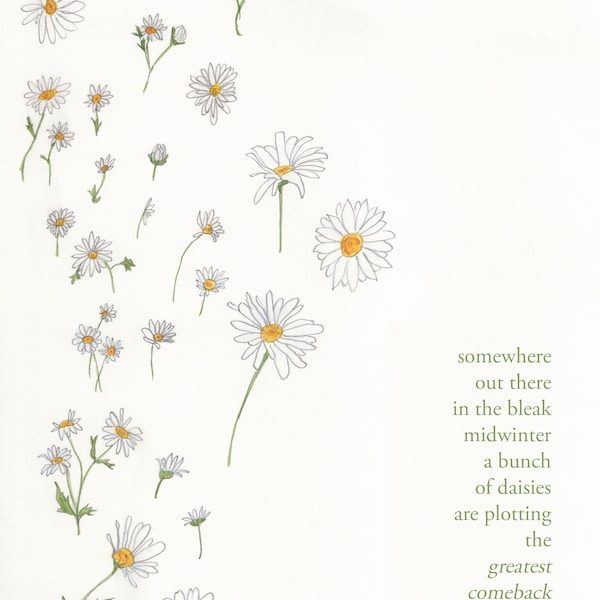 Daisies -  signed print by Zeppelinmoon
