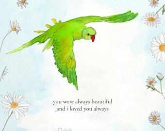 Parakeet -  signed print by Zeppelinmoon