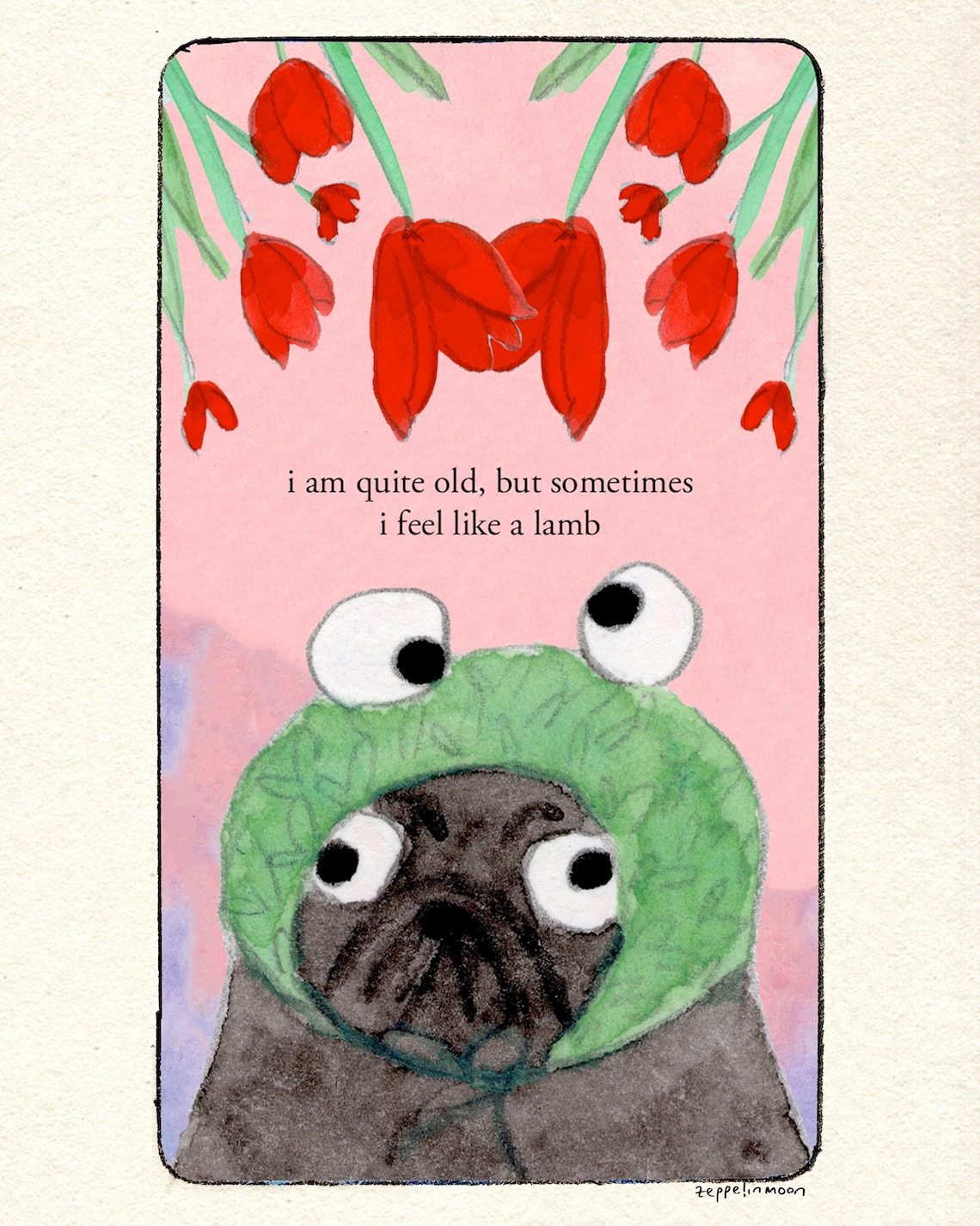 May include: A rectangular illustration on a pink background featuring red tulips at the top and a black pug wearing a green knit hood with large googly eyes. The text reads: i am quite old, but sometimes i feel like a lamb. The artist name zeppelinmoon is at the bottom.