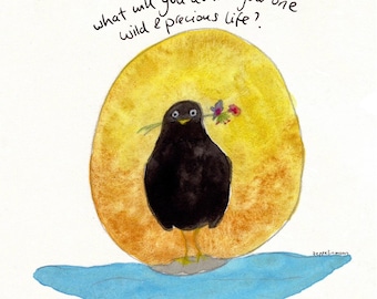 Blackbird - signed print by Zeppelinmoon