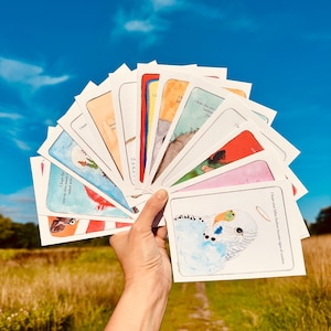 Könnte beinhalten: Ein Fächer aus rechteckigen Grußkarten mit Aquarellillustrationen und gedrucktem Text. Die vordere Karte zeigt einen blau-weißen Wellensittich mit einem Heiligenschein und den Text, I hope your fallen feathers become signs of comfort.