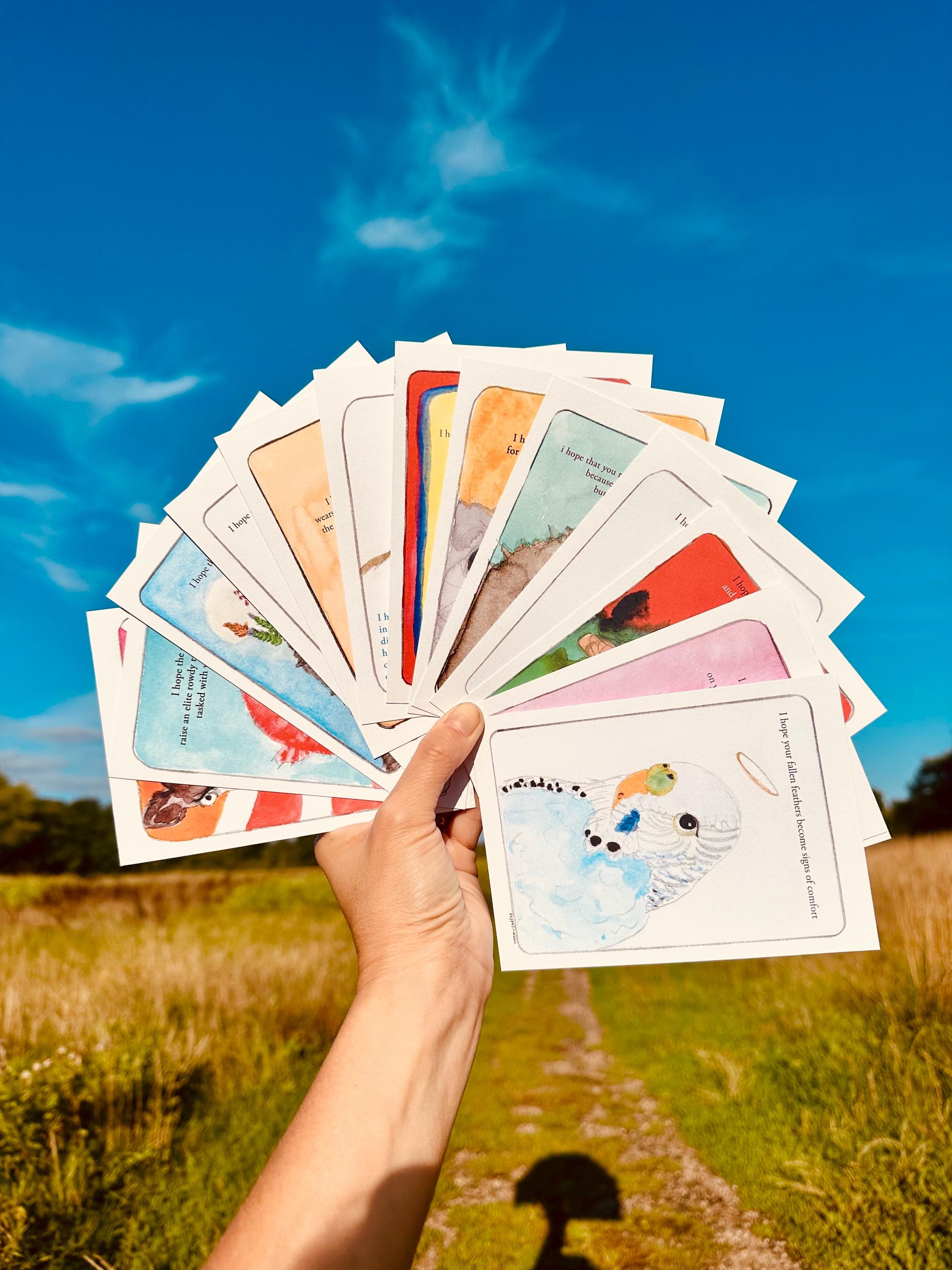 Illustrated Post Cards - Etsy