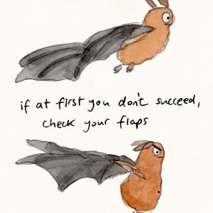 Check your flaps - signed print by Zeppelinmoon