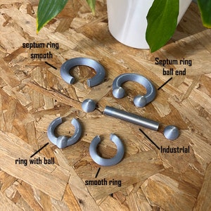 Pode incluir: Uma cole&ccedil;&atilde;o de joias corporais cinzentas, incluindo um anel de septo liso, um anel de septo com extremidades em bola, um anel com bola, um anel liso e uma barra industrial. Os itens possuem texto identificando cada tipo de joia espec&iacute;fica.