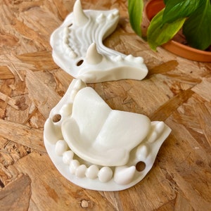 Resin Printed big cat jaw set