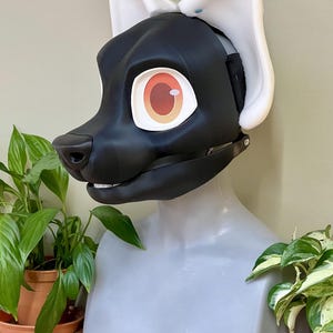 May include: A black and white fursuit head of a canine character. The head features large, expressive eyes with orange and yellow irises, a black nose, and white ears. The fursuit is displayed on a mannequin head.