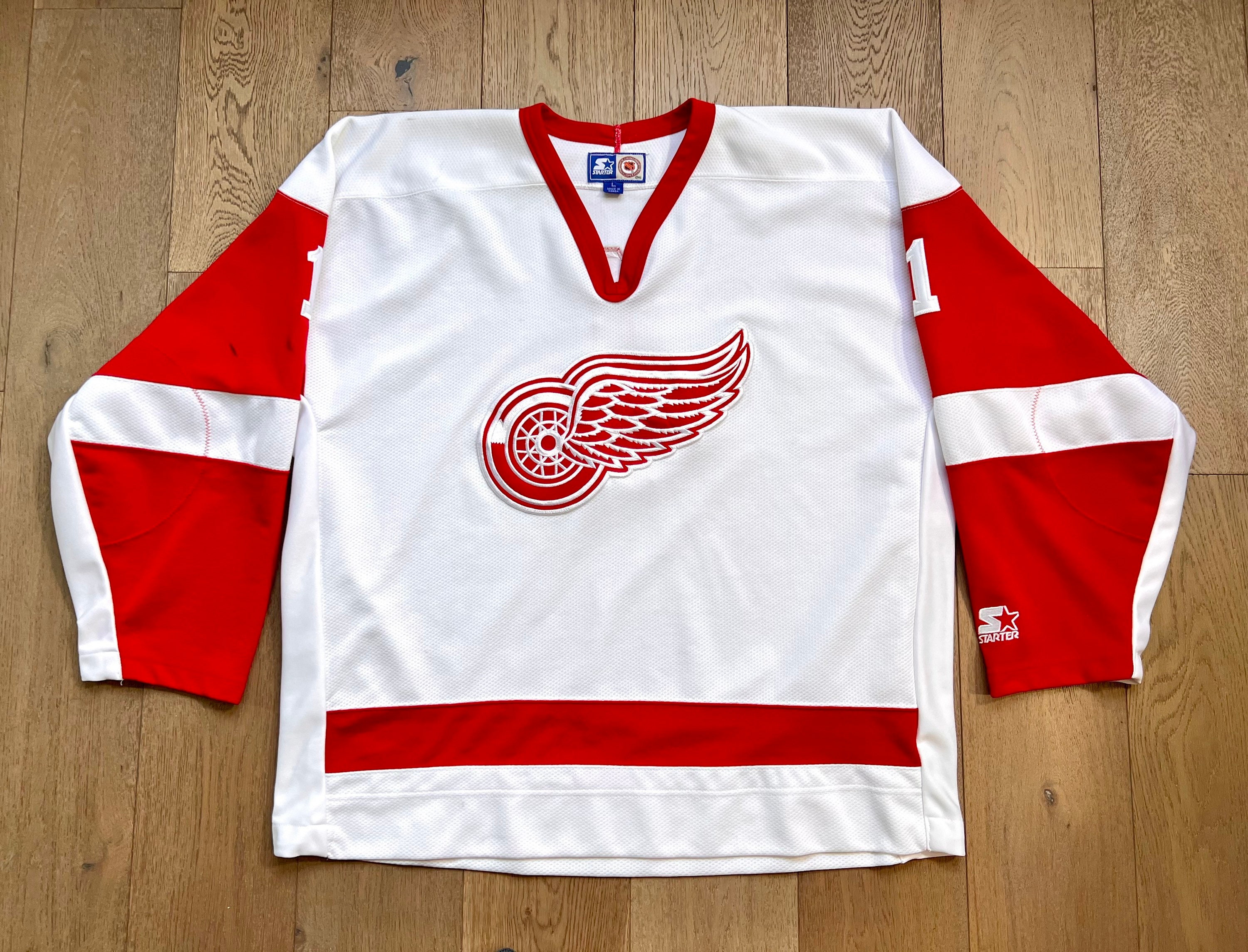 NHL Detroit Red Wings CCM Pullover Hoodie, Large : : Sports,  Fitness & Outdoors