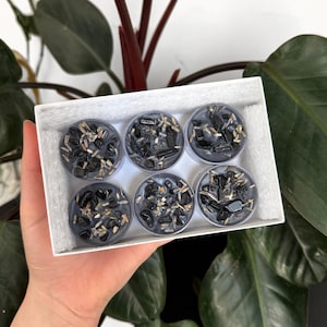 Puede incluir: Una caja rectangular blanca que contiene seis velas redondas de cera gris. Cada vela está cubierta con pequeñas piedras negras pulidas y capullos de lavanda secos. Las velas están dispuestas en dos filas de tres dentro del empaque.