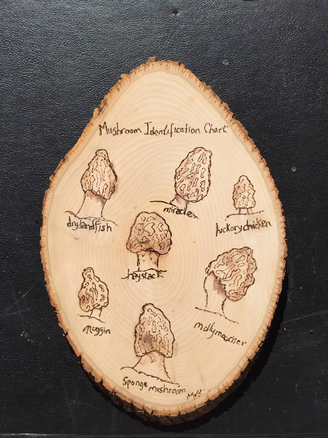 Mushroom Identification Chart Etsy