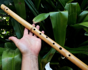 Unique Bamboo Flute in the key of low E, One of a kind Concert Tuned Traverso | For Intuitive or Folk music | Gift for Musician | Rui Gomes